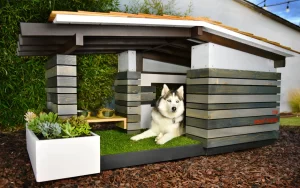 Siberian Husky laying on fake grass at the entrance of a modern dog house