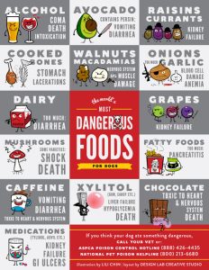 info graphic in gray, white & red on what dogs are unsafe for dogs to eat
