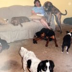 Woman on a couch with dogs all around